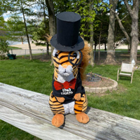 Tigersquirrel® celebrates Fancy Day with Columbia Public Schools Virtual Spirit Week
